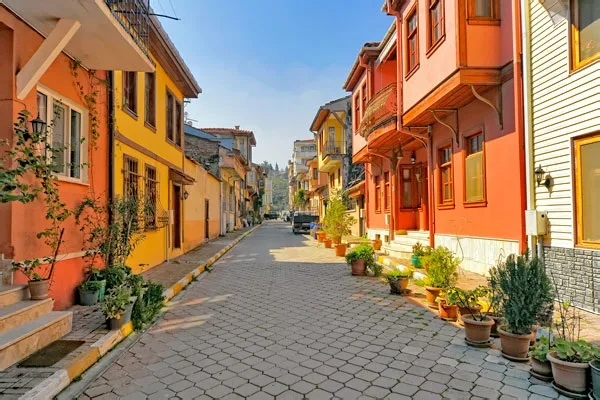 Günübirlik Cumalıkızık Gölyazı Mudanya Trilye Turu