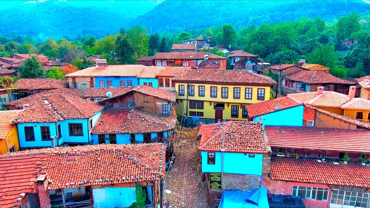 Günübirlik Cumalıkızık Gölyazı Mudanya Trilye Turu