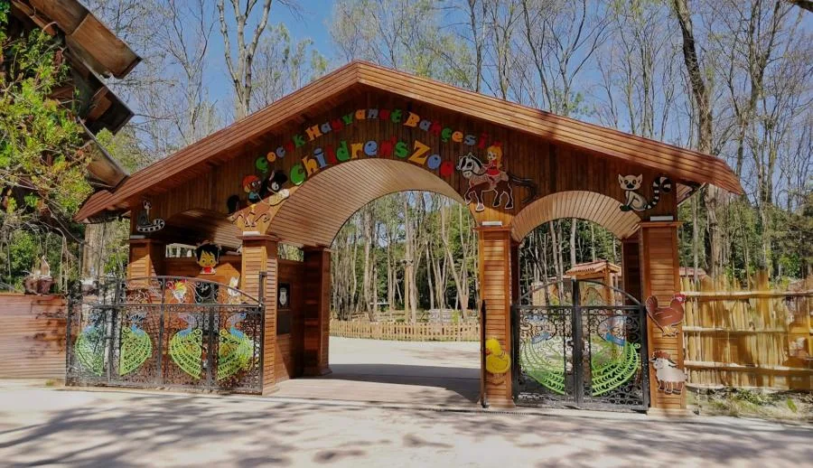 Günübirlik Sapanca Ormanya Maşukiye Turu