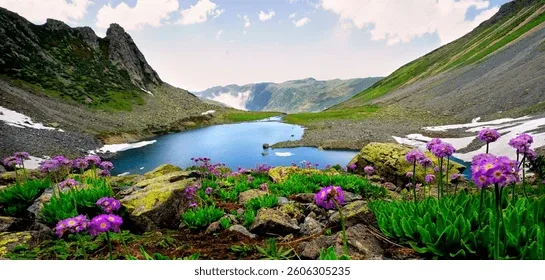  Uçaklı Karadeniz Yaylaları ve Batum Turu (3 Gece Otel Konaklamalı)